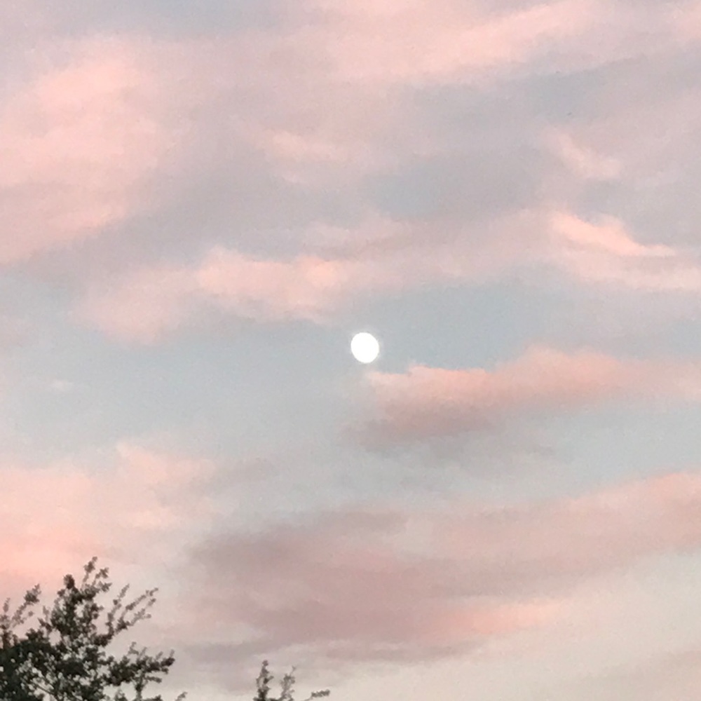 Meet your Posher, Courtney